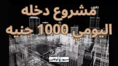 أفضل 20 مشروع دخله اليومي 1000 وأكثر 2025