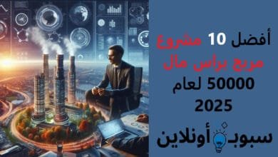 افضل 10 مشروع مربح براس مال 50000 لعام 2025