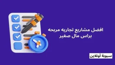 افضل أفكار مشاريع تجاريه مربحه براس مال صغير لعام 2025