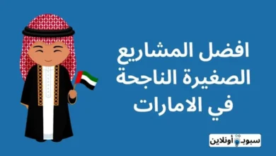 +10 افكار مشاريع ناجحة في الامارات لهذا العام 2024