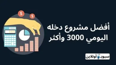 13 مشروع دخله اليومي 3000 وأكثر