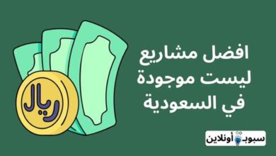 أفضل 10 مشاريع ليست موجودة في السعودية في 2024