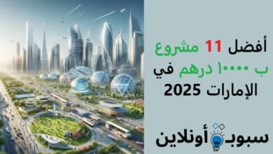 أفضل 11 مشروع ب 10000 درهم في الإمارات 2025