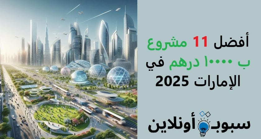 أفضل 11 مشروع ب 10000 درهم في الإمارات 2025