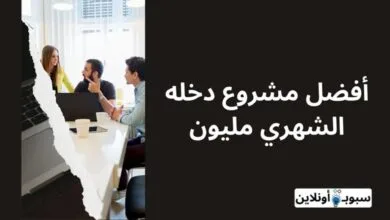 أقوى 16 مشروع دخله الشهري مليون لعام 2024