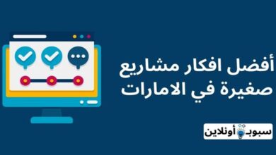 افكار مشاريع صغيرة في الامارات (20 فكرة ناجحة)