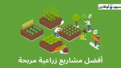 أفضل 10 مشاريع زراعية مربحة (الأكثر ربحا في 2024)