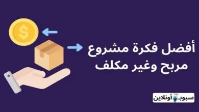 أفضل فكرة مشروع مربح وغير مكلف في 2024
