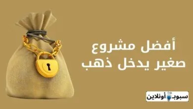 أفضل مشروع صغير يدخل ذهب 2024 (بدون رأس مال)