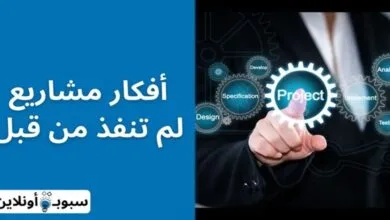 أفضل 30 أفكار مشاريع لم تنفذ من قبل 2024