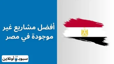 أفضل 50 مشاريع غير موجودة في مصر 2024