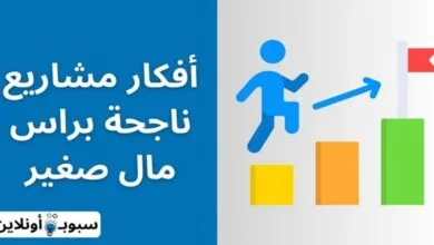 أفكار مشاريع ناجحة براس مال صغير (50 مشروع مربح) 2024