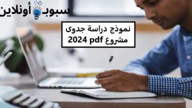 نموذج دراسة جدوى مشروع pdf لعام 2024