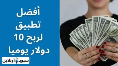 أفضل 10 تطبيق لربح 10 دولار يوميا (ربح 300 دولار شهريا) 2024