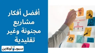 أفضل أفكار مشاريع مجنونة ومربحة 100% لعام 2024