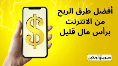 أفضل طرق الربح من الانترنت برأس مال قليل