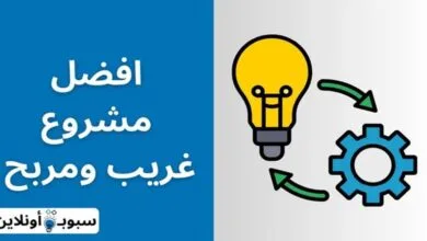 افضل 10 مشروع غريب ومربح جدا (أرباح خيالة)