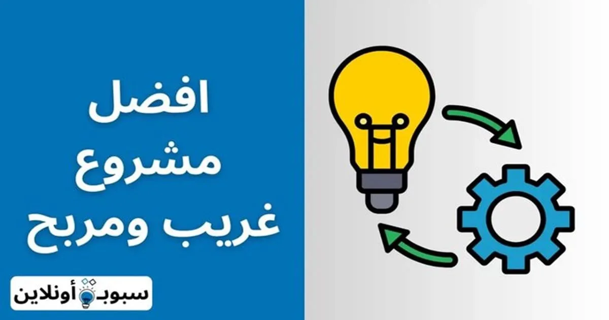 افضل 10 مشروع غريب ومربح جدا (أرباح خيالة)