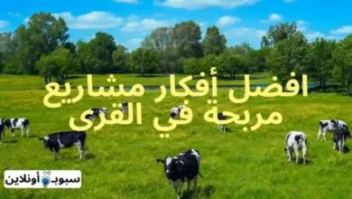 افكار مشاريع مربحة في القرى (أفضل 10 مشروع مربح في القرى) 2024