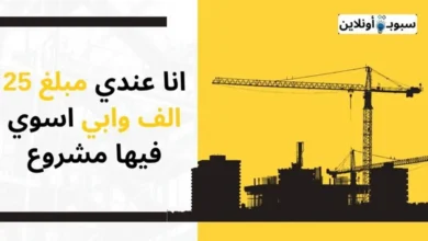 انا عندي مبلغ 25 الف وابي اسوي فيها مشروع