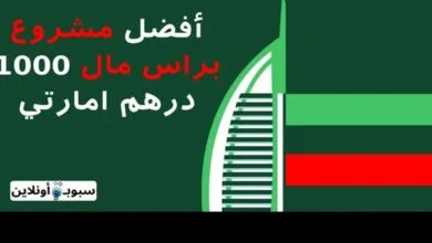 أفضل 20 مشروع براس مال 1000 درهم إمارتي 2025
