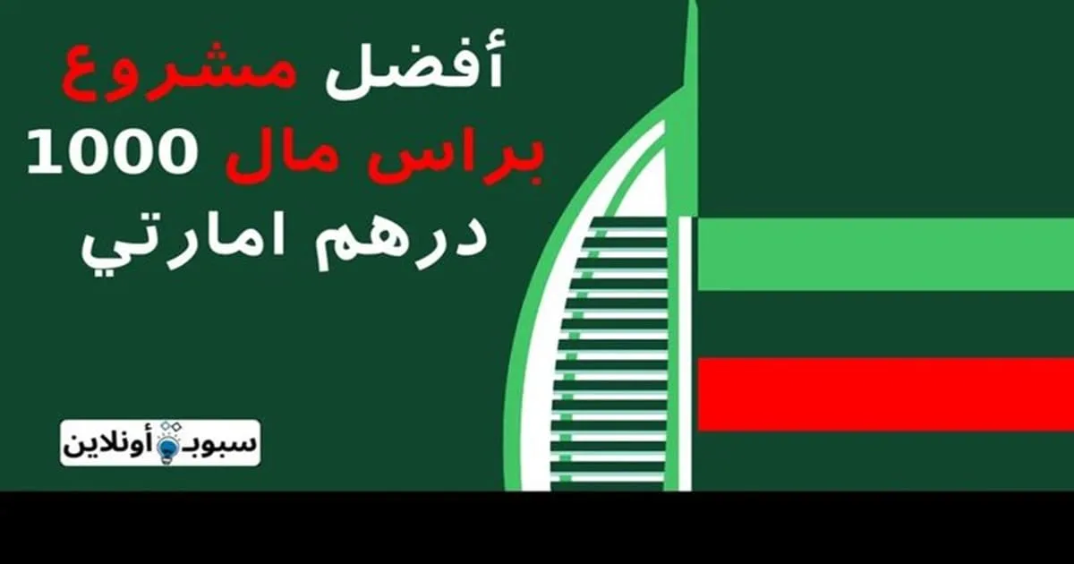 أفضل 20 مشروع براس مال 1000 درهم إمارتي 2025