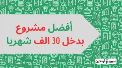 أفضل 5 مشروع بدخل 30 الف شهريا 2025