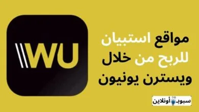 أفضل 5 مواقع استبيان للربح من خلال ويسترن يونيون 2024