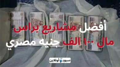 أفضل 7 مشروع بمبلغ 100 الف جنيه (أرباح حقيقية) 2024