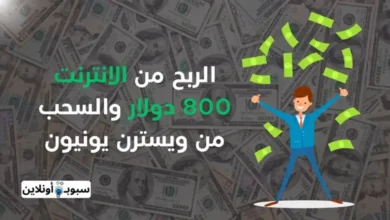 الربح من الانترنت 800 دولار والسحب من ويسترن يونيون