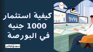 أفضل طرق استثمار 1000 جنيه في البورصة 2025