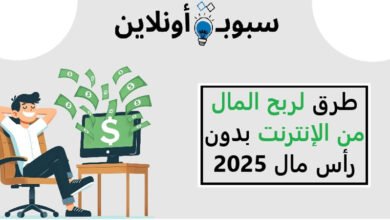 10 طرق لربح المال من الإنترنت بدون رأس مال 2025