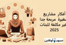 أفضل 10 أفكار مشاريع صغيرة مربحة جدا وغير مكلفة للبنات 2025