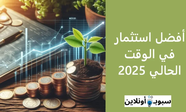 أفضل استثمار في الوقت الحالي وتحقيق الأرباح بأقل المخاطر 2025