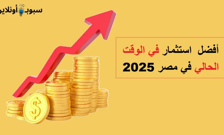 أفضل استثمار في الوقت الحالي في مصر 2025 (فرص ذهبية لزيادة أرباحك)